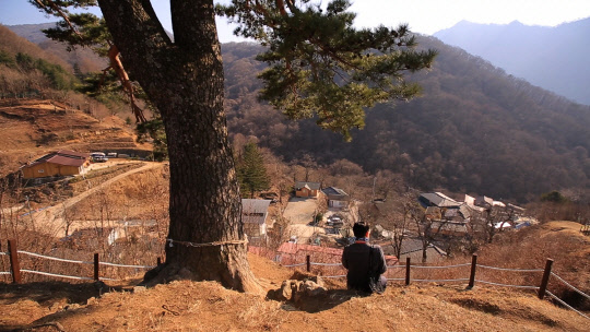 한국기행에서는 인적 드문 두메산골에 소식을 전하러 가는 우체부와 알콩달콩 살아가는 부녀 등 누구보다 바쁘게 봄을 맞이하는 사람들을 만나본다.  EBS 제공